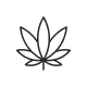Flower (Hybrid)